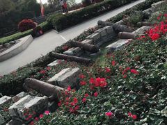 -胡里山炮台