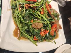 -百家班(市府店)