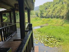 -悦禧耕岛酒店·指月坞餐厅·旺山特色农家乐