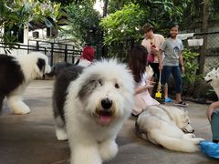 -TrueLove @ Neverland (Husky Cafe)