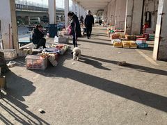 -四道口水产市场