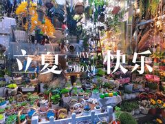 -循礼门鲜花花市(武汉循礼门店)