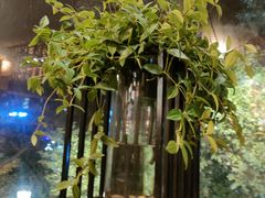-大川先生·小龙虾·川菜(信义坊店)
