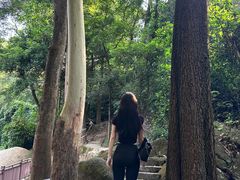 -火炉山森林公园