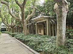 -徐家汇源景区-衡山公园