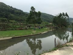 -四会奇石河风景区