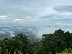 -黄埔油麻山森林公园