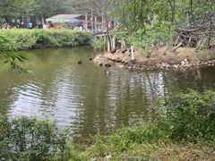 -长白岛森林公园