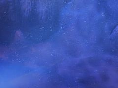 -惠州金海湾嘉华度假酒店