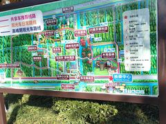 -黄海国家森林公园