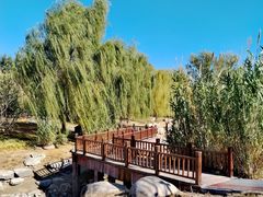 -莲花池公园