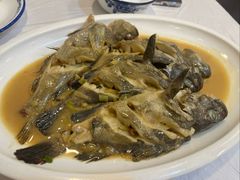 焖杂鱼-丽华家常菜(北马路店)