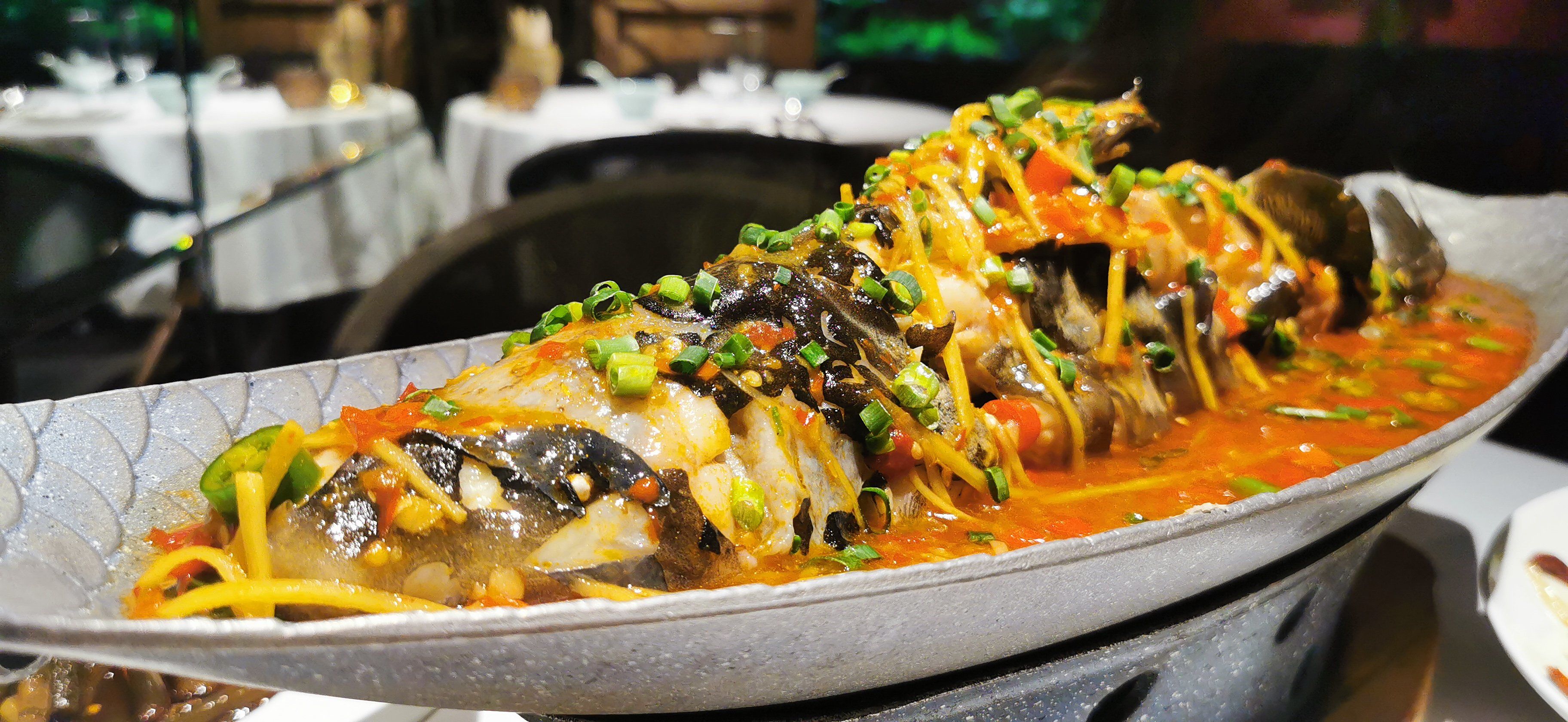 吃鱼啦~还是跳水鱼!