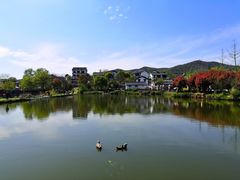 -石塘人家