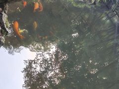 -北高峰