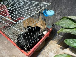 -酷嗒动物文化乐园(cutezoo西溪乐天城店)