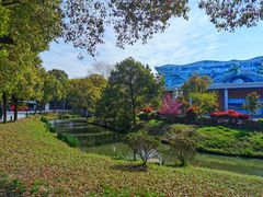 -溱湖国家湿地公园