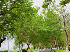 -云龙湖旅游景区