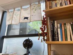 -猫里有甜