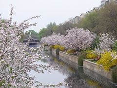 -元大都城垣遗址公园