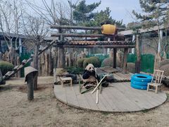 -大连森林动物园