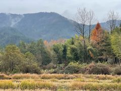 -黟县屏山村