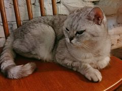 -不舍昼夜咖啡馆