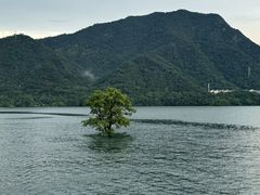 -庐山西海主景区