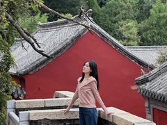 -泰山风景名胜区-普照寺