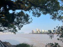 -江心屿景区