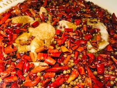 招牌水煮三峡鱼-雲蜀龙阁·金牌水煮鱼(方庄店)