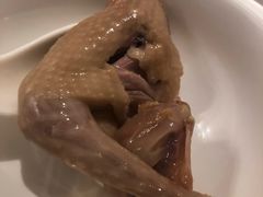 雪莲炖老鸽-尚一汤·粤菜海鲜(环球港店)