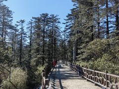 -瓦屋山景区