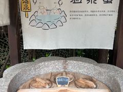 -天目湖涵田半山温泉