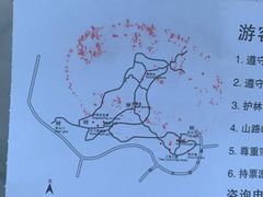 -上海佘山国家森林公园天马山园