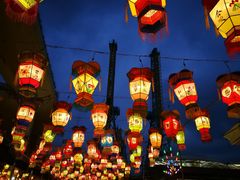 -锦江乐园舞狸花花游园会(夜场专享)