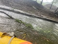-天目湖松岭竹海漂流