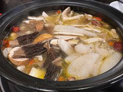 -蘑统田下·野生菌火锅