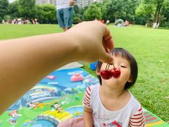 -重庆彩云湖湿地公园