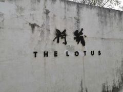 -几荷·恰似故人来(秀水广场店)