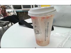 -喵屿·大理花园猫咖