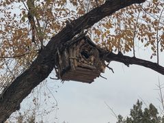 -北京西山国家森林公园