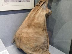 -包头博物馆