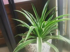 -山里人家土菜馆(茅山店)