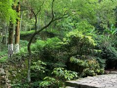 -莫干山风景区