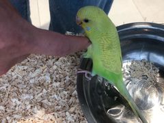 -怪兽屋·羊驼·猫咖·狗咖(俊华广场店)