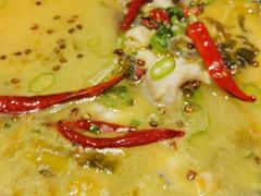 -金掌勺·锅包肉(广渠门店)