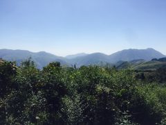 -江南天池