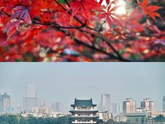 -橘子洲景区