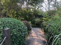 -和茶馆(西溪栖悦城店)